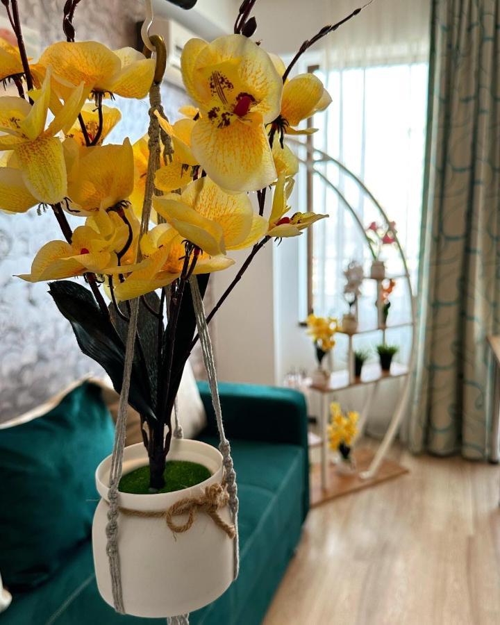 Aqua Vista Fratelli - Vedere Top La Mare Si Lac - Summerland Apartment มามายา ภายนอก รูปภาพ